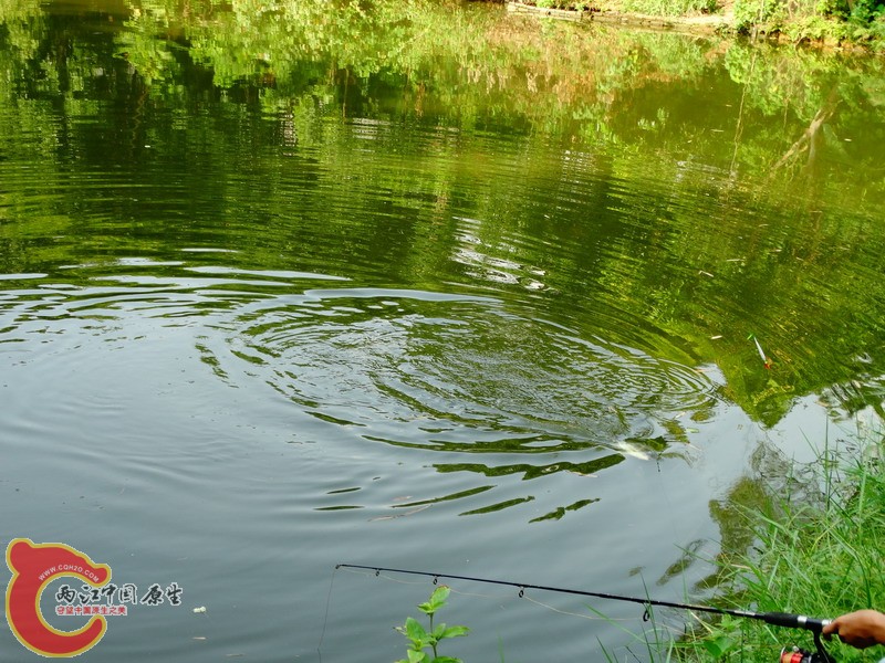 DSC00965.jpg