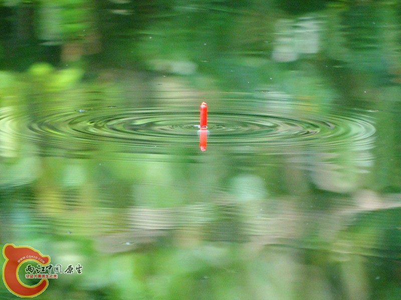 DSC00974.jpg