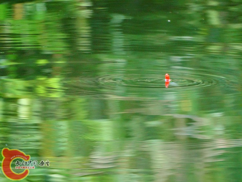 DSC00980.jpg