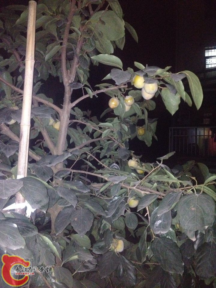 QQ图片20141016094231.jpg