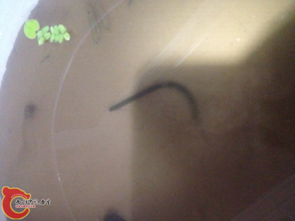 QQ图片20141016094611.jpg