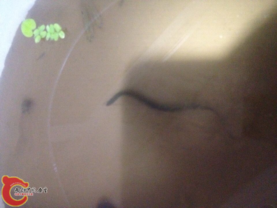 QQ图片20141016094614.jpg