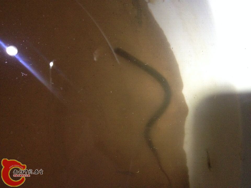QQ图片20141016094620.jpg