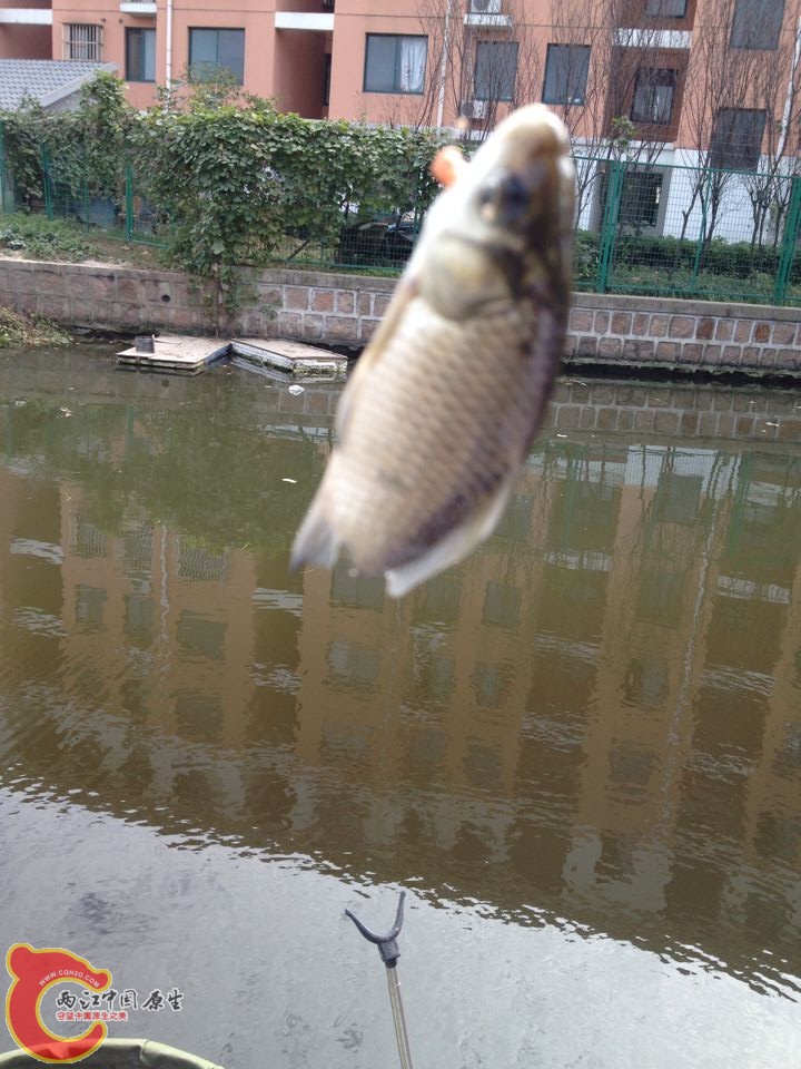QQ图片20141019151646.jpg