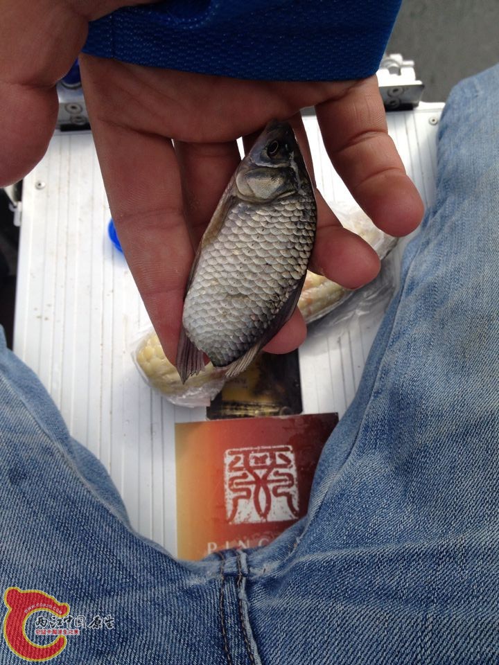 QQ图片20141019151649.jpg