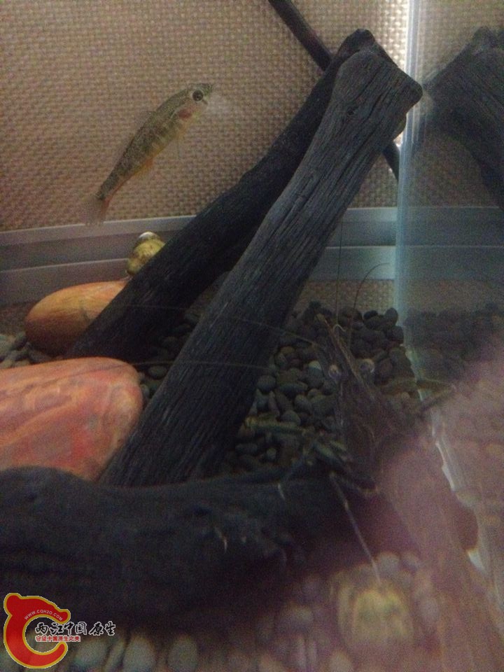 QQ图片20141020165917.jpg