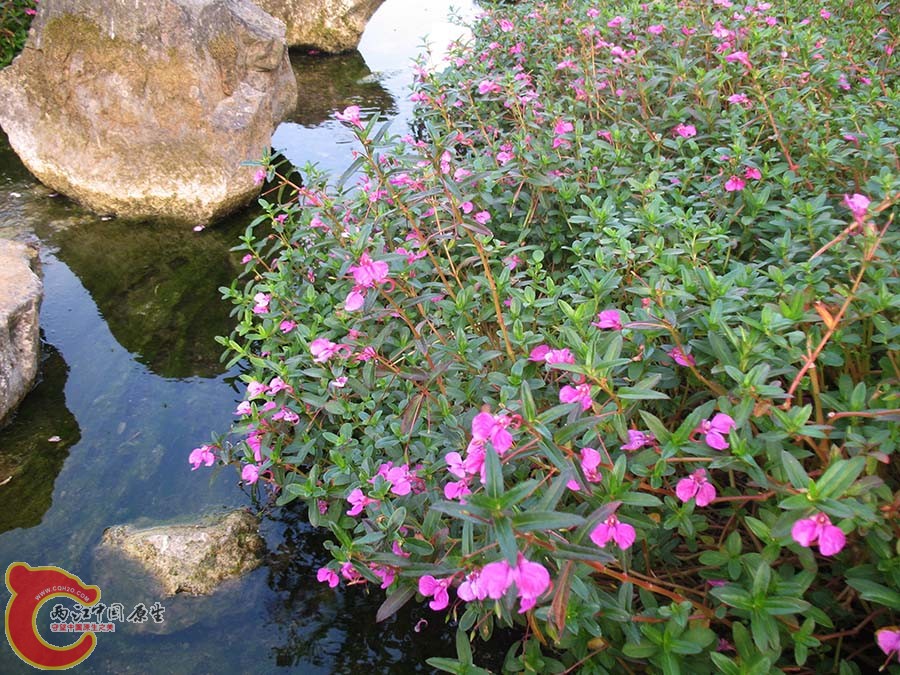IMG_9439 - 副本.JPG
