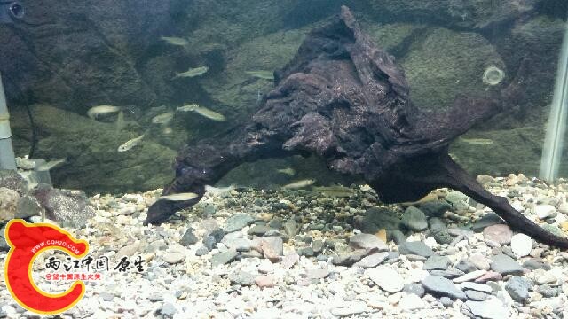 20141021_192634.jpg