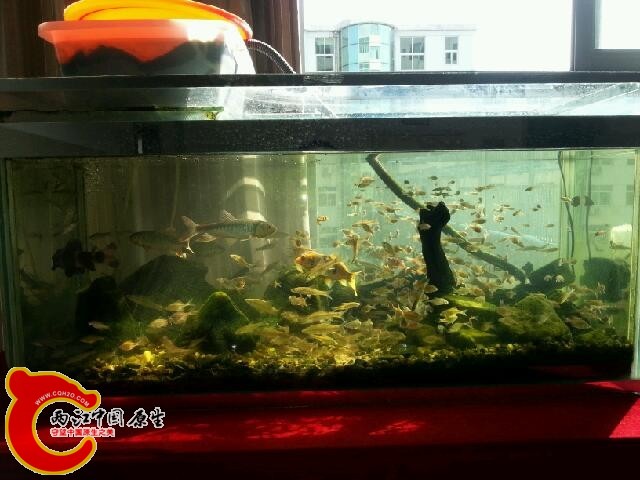20141024_140456.jpg