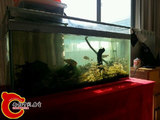 20141024_115737.jpg