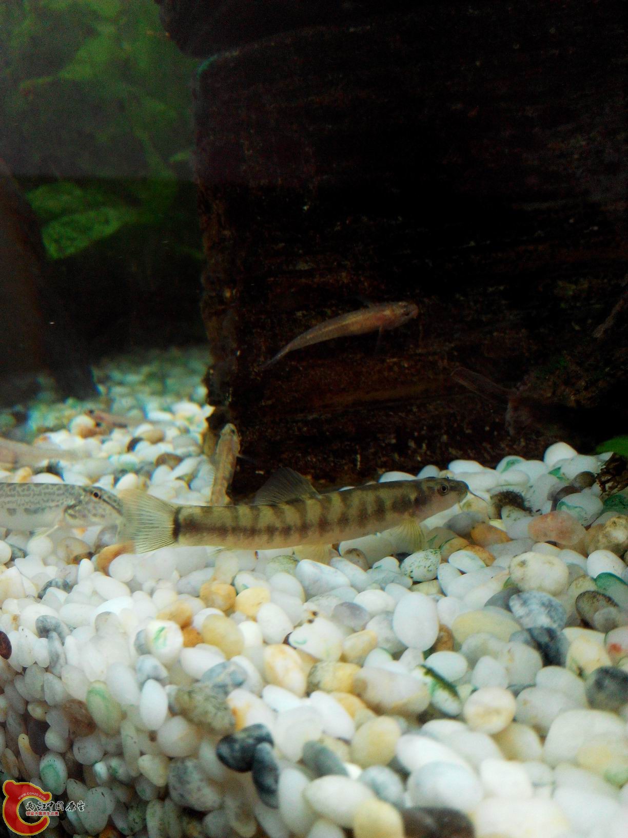 IMG_20141025_164513上传.jpg