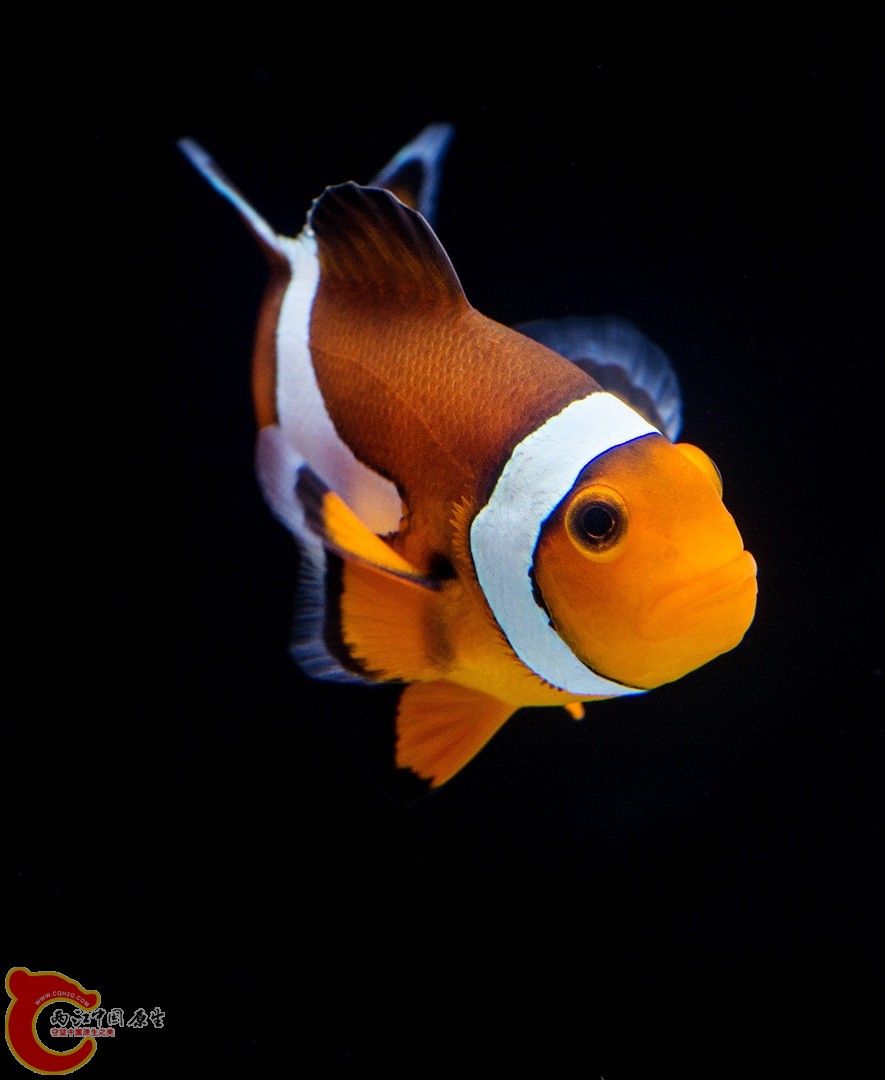 DSC05403_副本_副本.jpg