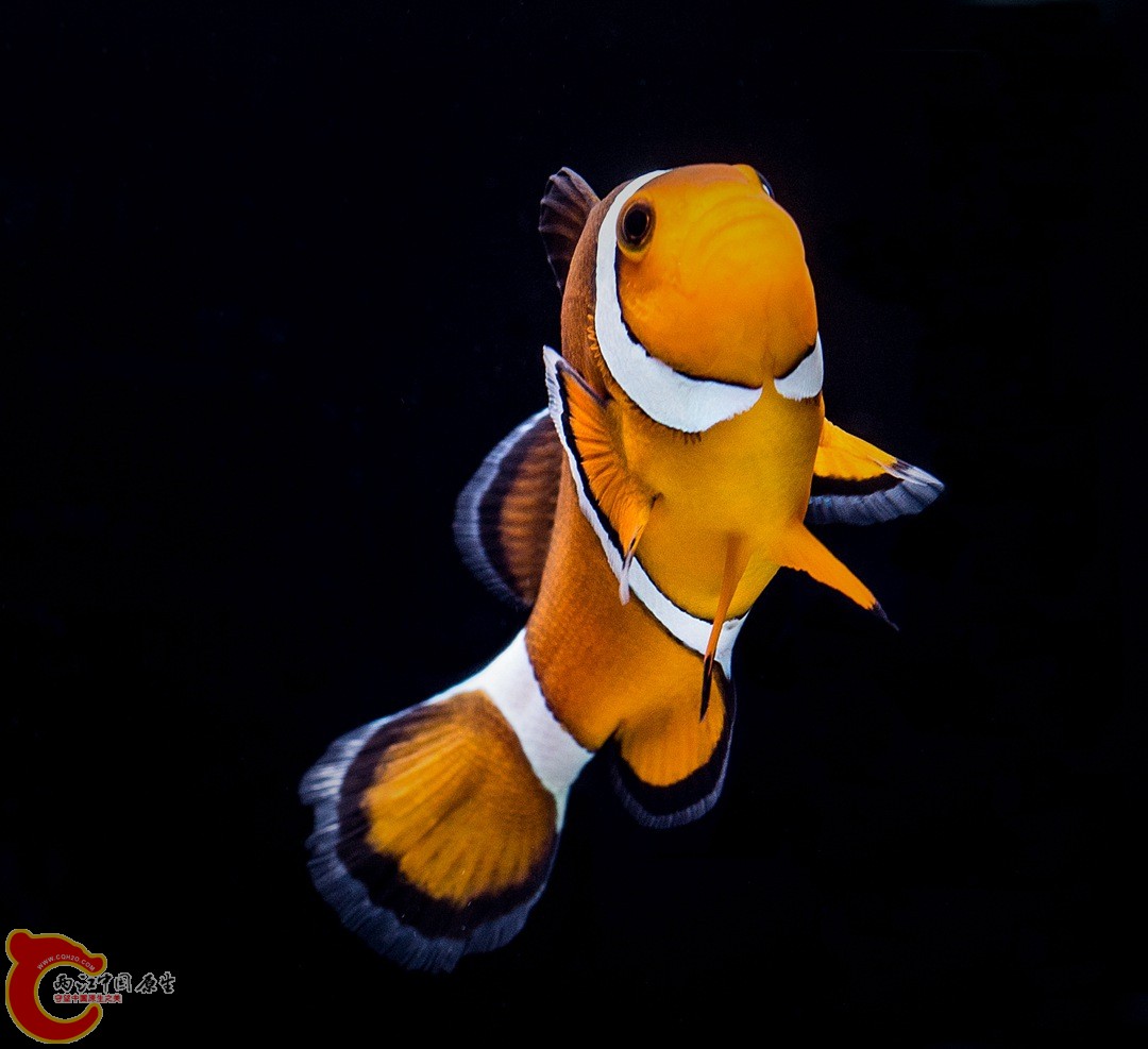 DSC05357_副本_副本.jpg