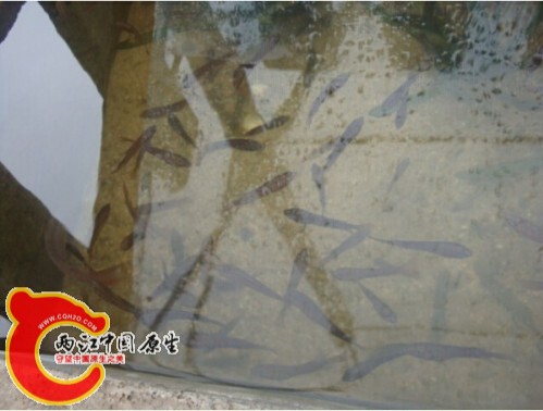 M1]4JVC8X7KSU3F]`Y98N6W.jpg