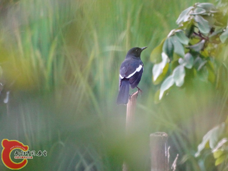DSC01038.jpg