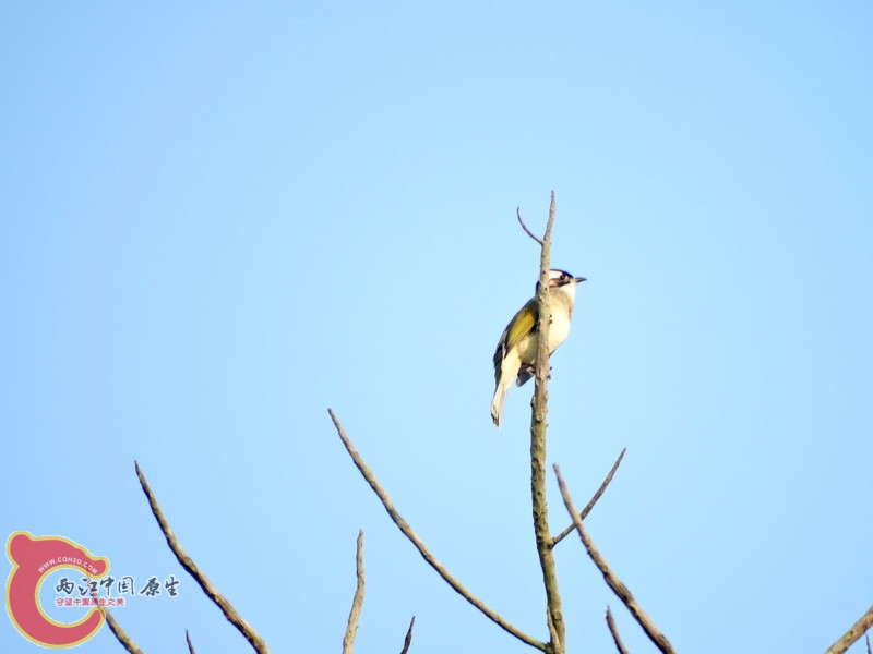 DSC01052.jpg
