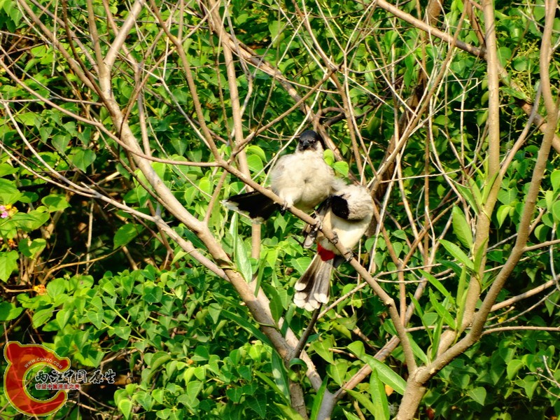 DSC01058.jpg