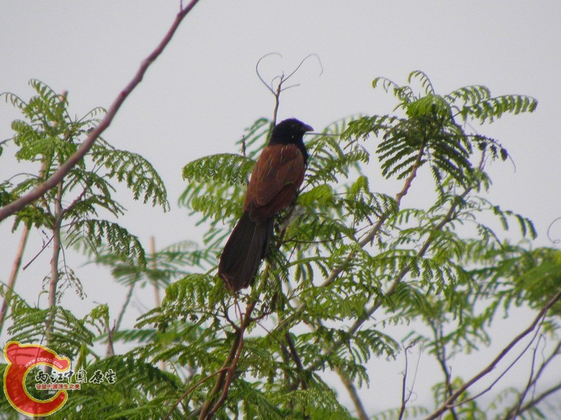 P4130004.jpg