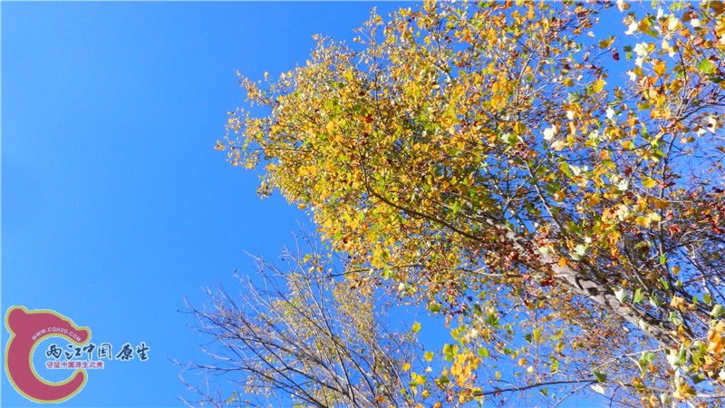 DSCN9507.jpg