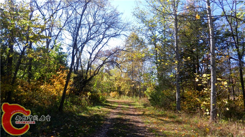 DSCN9510.jpg