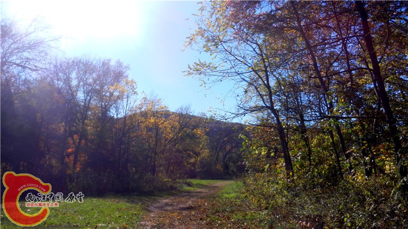 DSCN9511.jpg