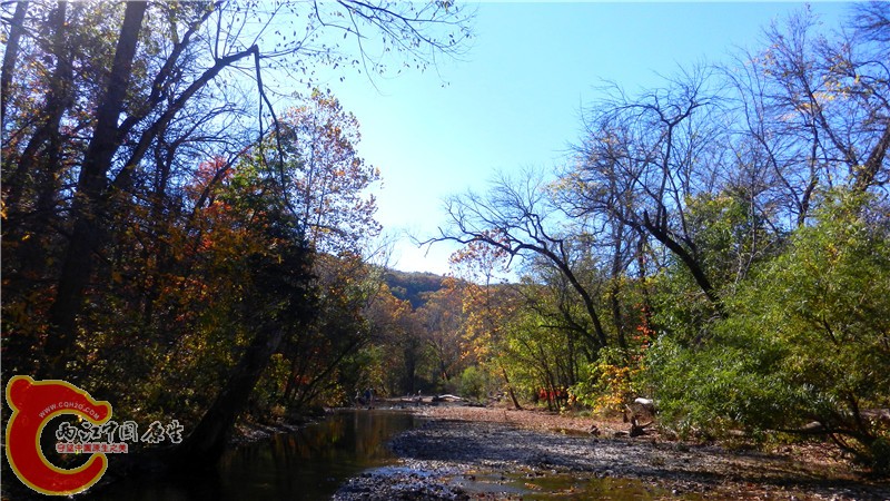 DSCN9517.jpg