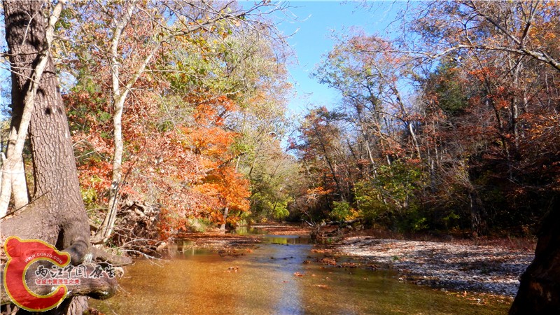 DSCN9530.jpg