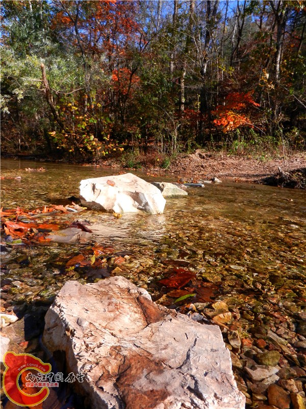 DSCN9532.jpg