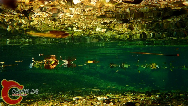 PA260816.jpg