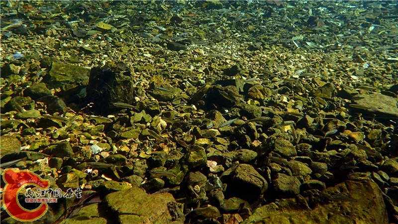 PA260825.jpg
