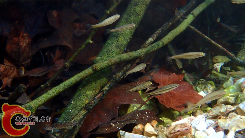 PA260864.jpg