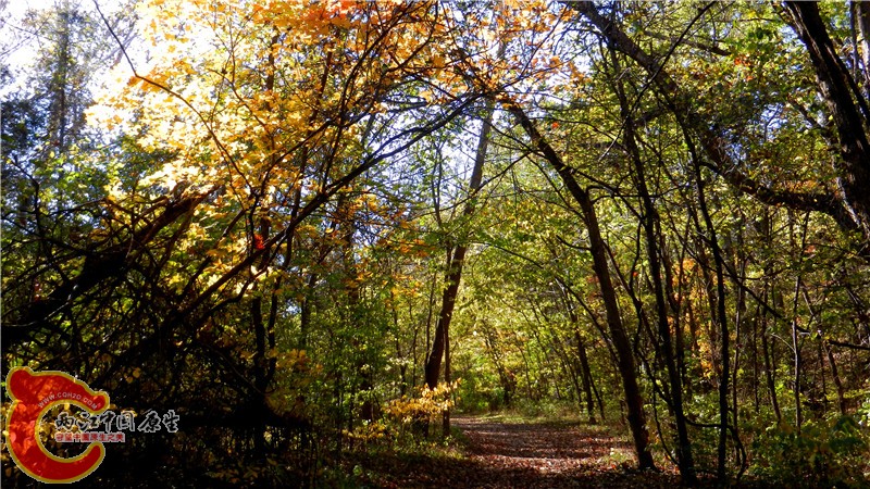 DSCN9548.jpg