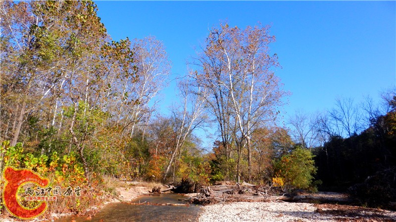 DSCN9556.jpg