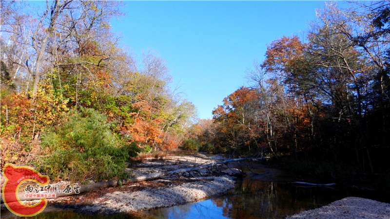 DSCN9558.jpg