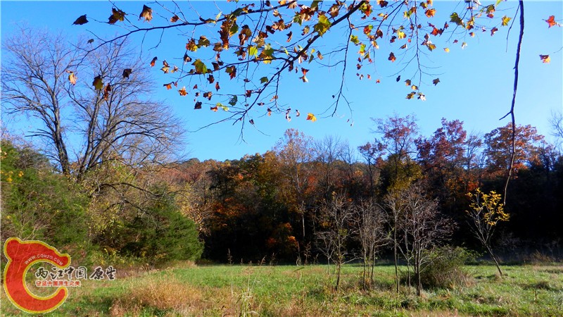 DSCN9574.jpg