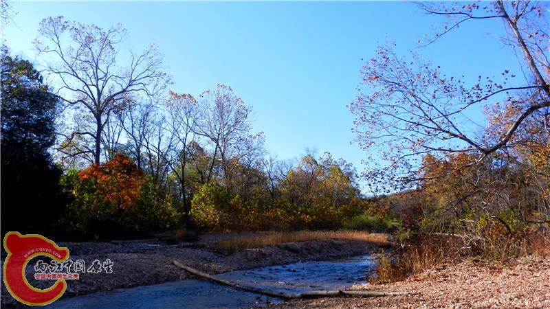DSCN9582.jpg