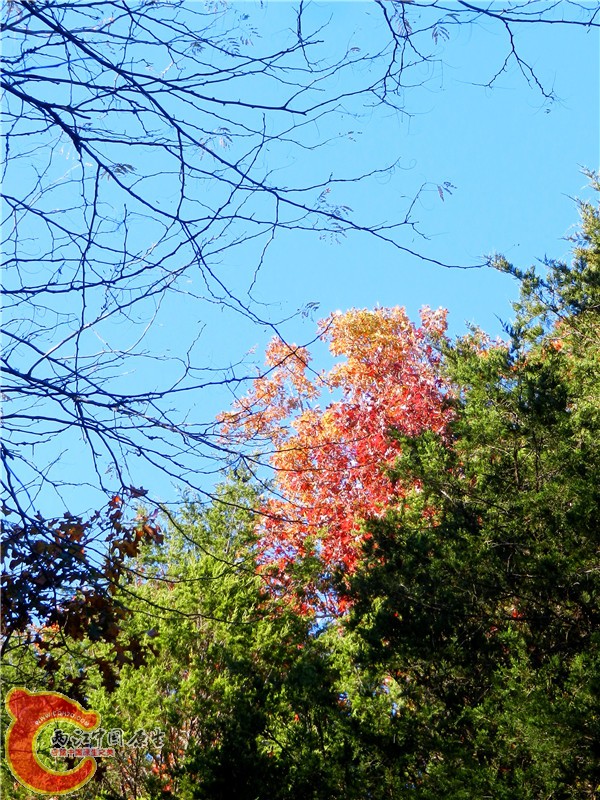 DSCN9586.jpg