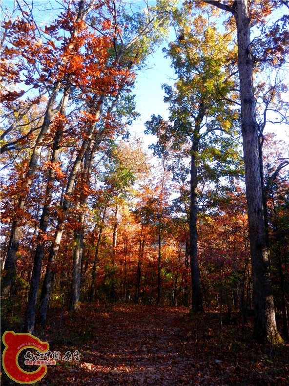 DSCN9622.jpg
