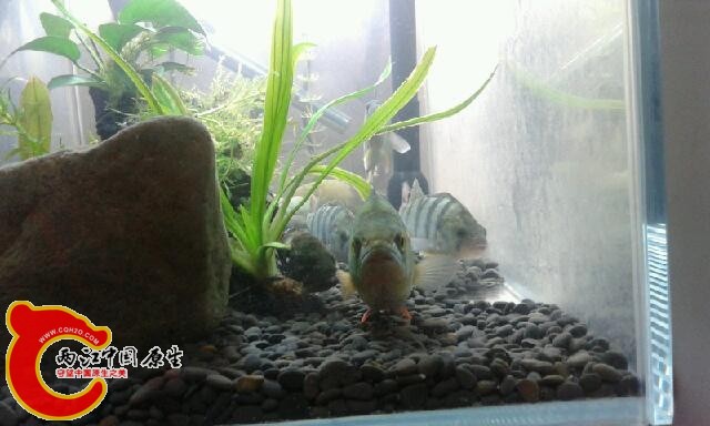 20141029_125407.jpg