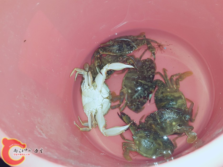 20141027_194031_mh1414432625393_副本.jpg