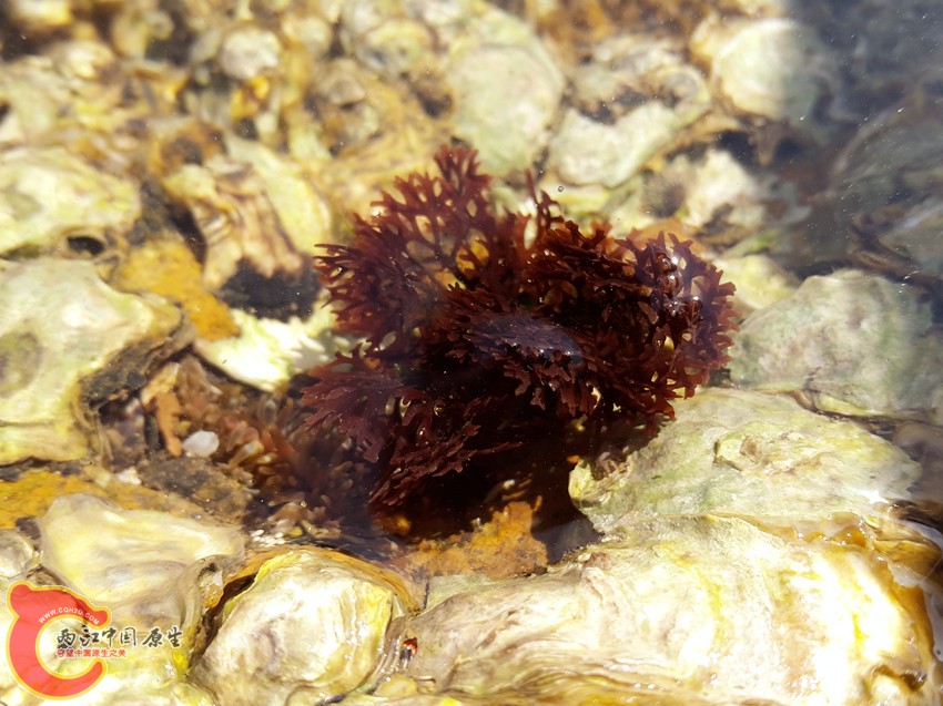 20141028_115043_副本.jpg