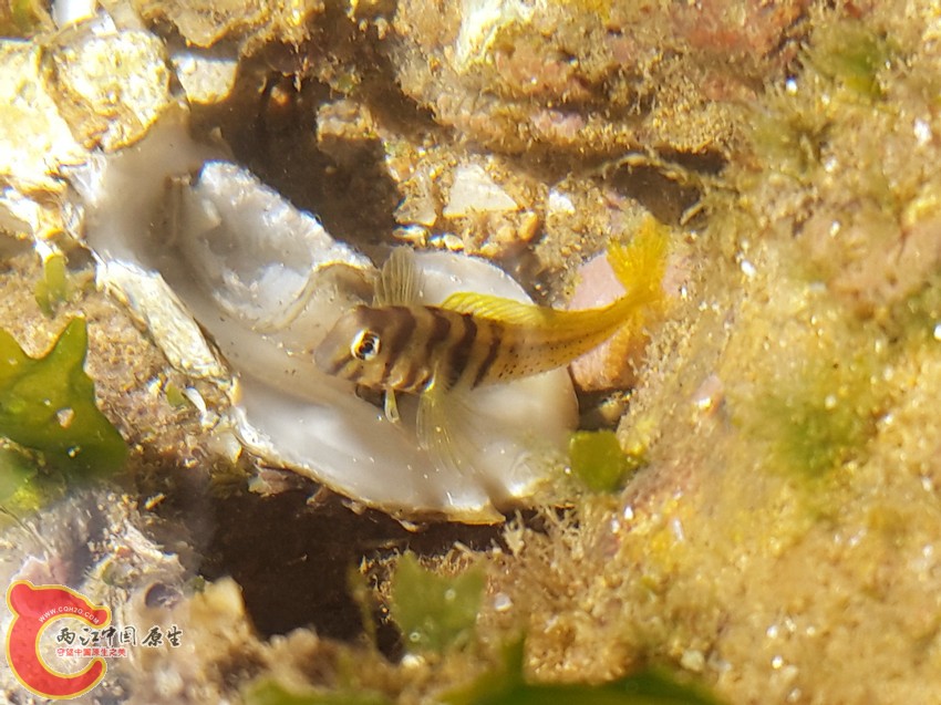 20141028_120252_副本.jpg