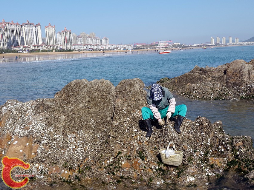 20141028_120611_副本.jpg