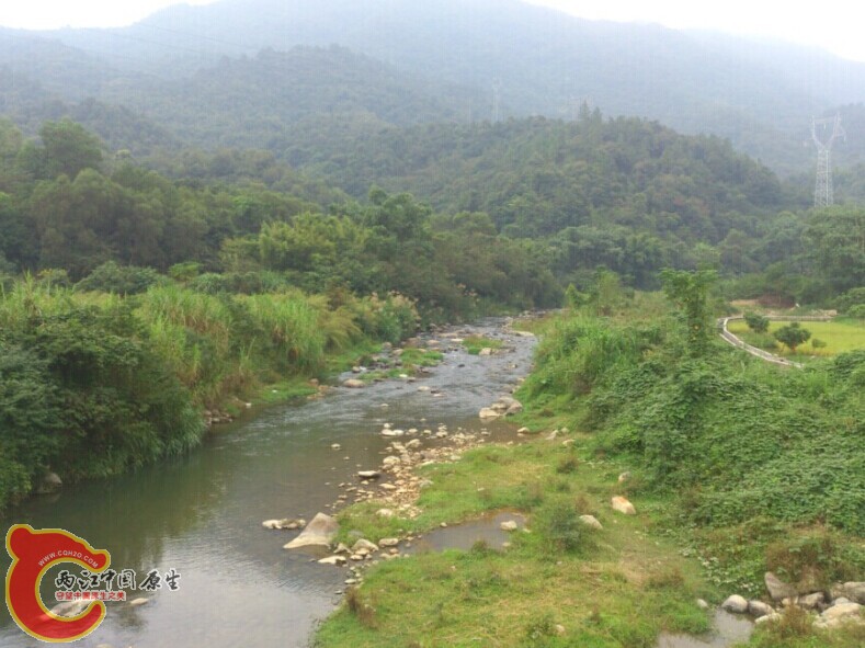 QQ图片20141030155420.jpg