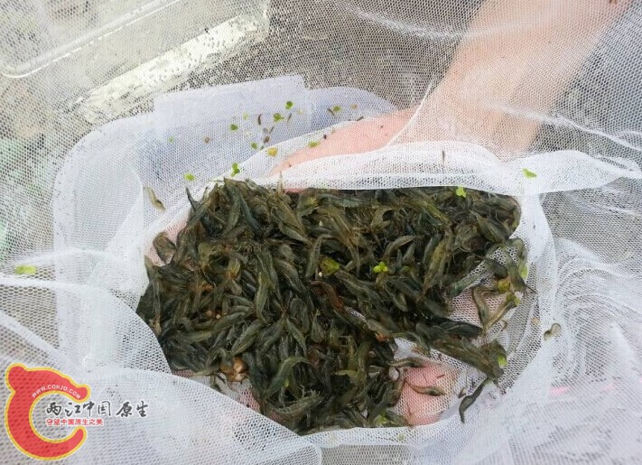 QQ图片20141101024324.jpg