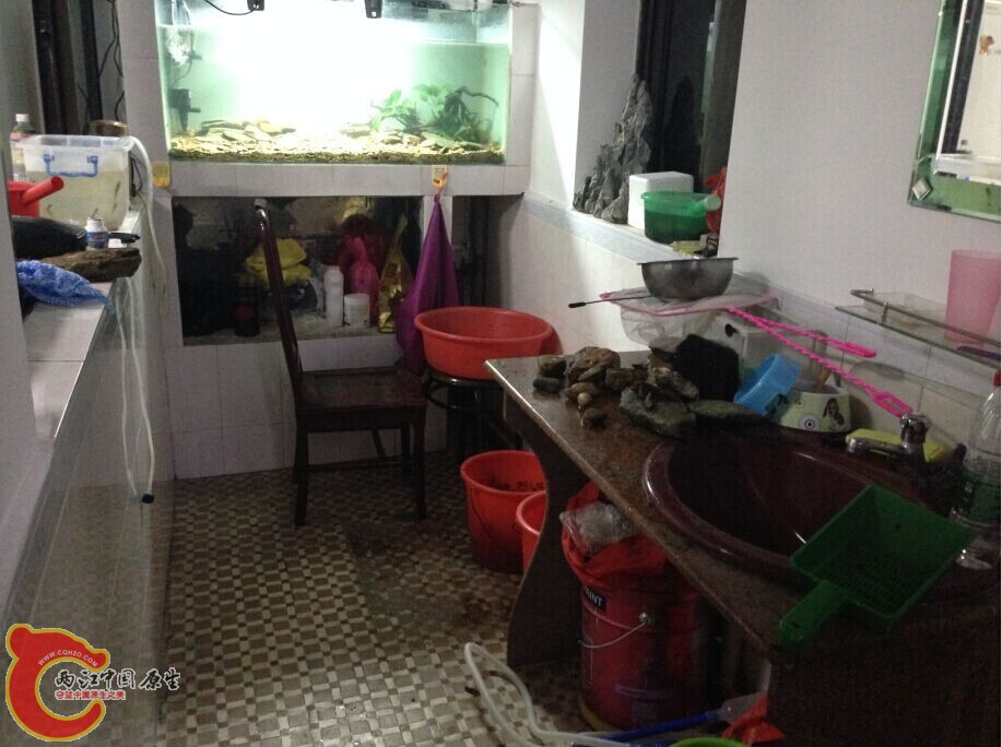 QQ图片20141101135542.jpg QQ图片20141101135542.jpg