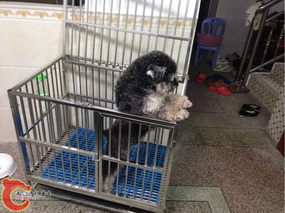QQ图片20141101135537.jpg QQ图片20141101135537.jpg