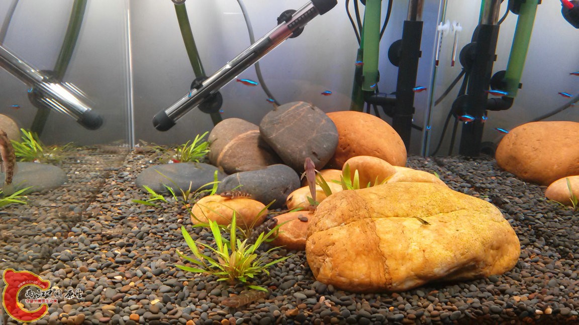 IMG20141101142203_副本.jpg