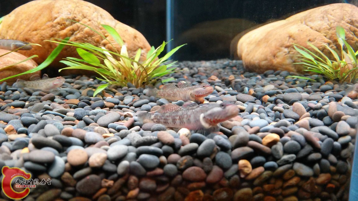 IMG20141101171726_副本.jpg