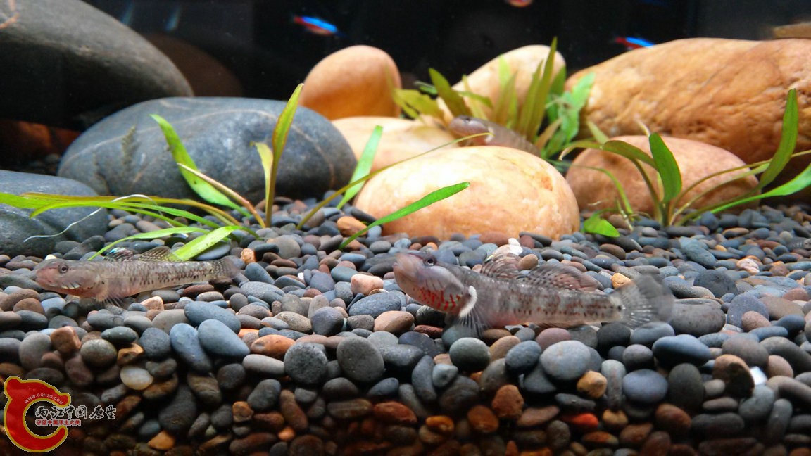 IMG20141101171950_副本.jpg